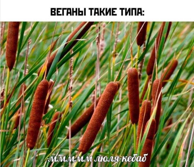 Так себе картинки 03.07.23