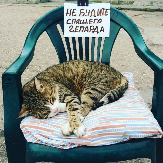 Нуштош 26.07.2023