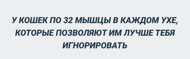 Так себе картинки 17.08.23