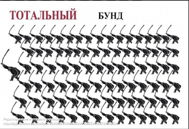В США копы застрелили чернокожую беременную девушку, которая подозревалась в краже