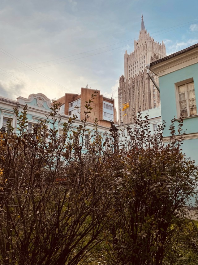 Красивые фото ЯПа