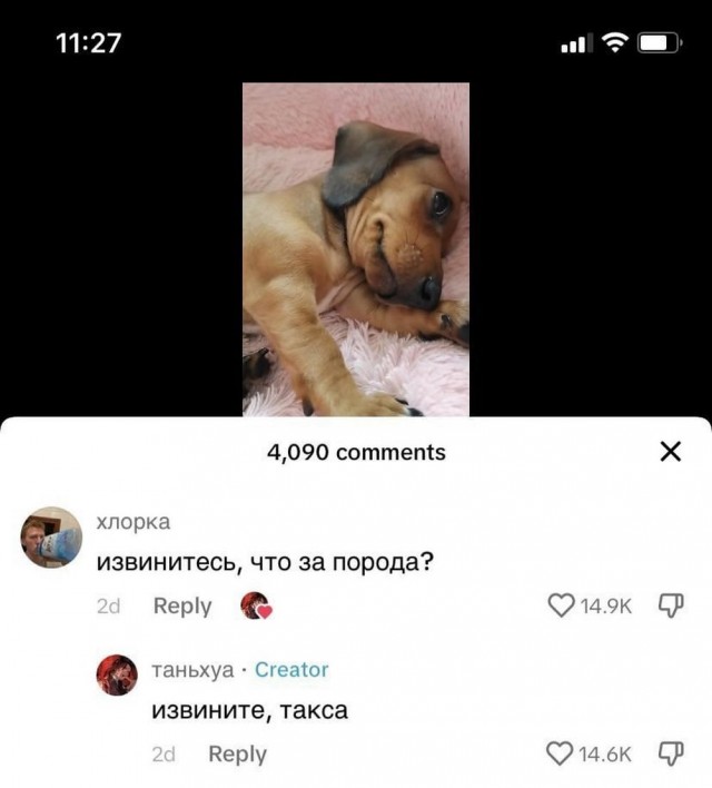 ТЛидцать тЛи от 5 апЛеля