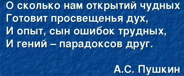 Путин удивился закупке Россией изделий из древесины за границей
