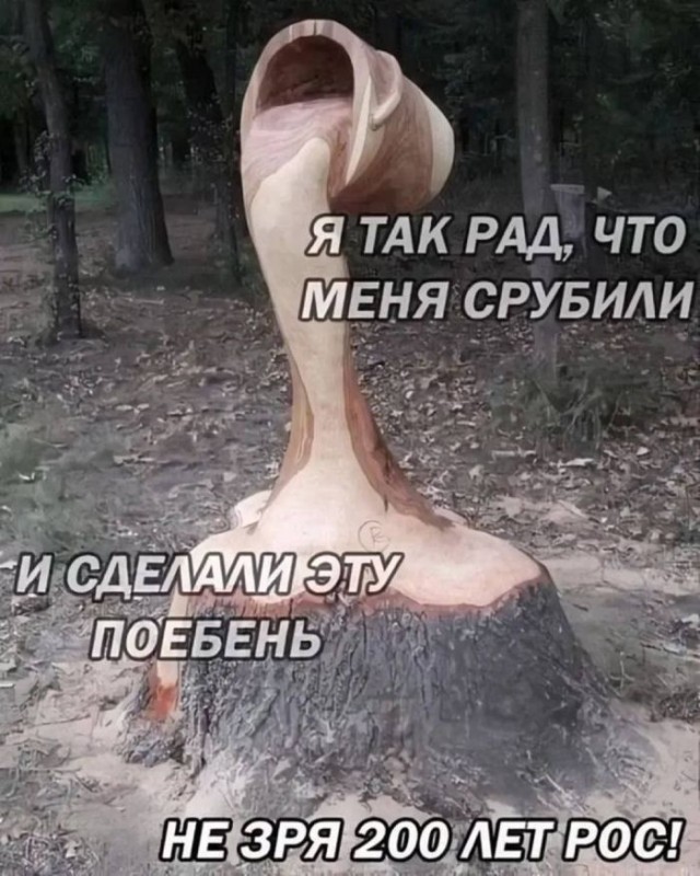 Так себе картинки 11.11.24