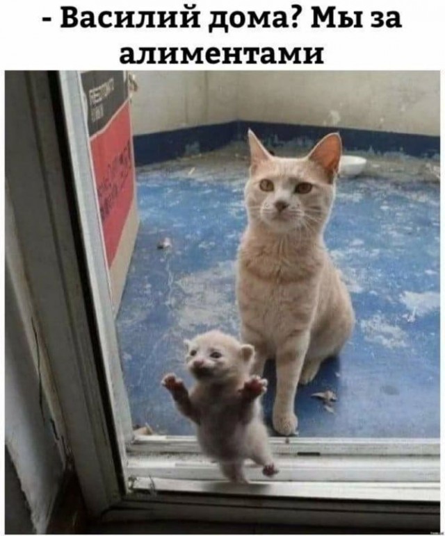 Картинки не для всех