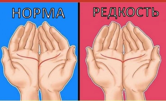 Проверяйте