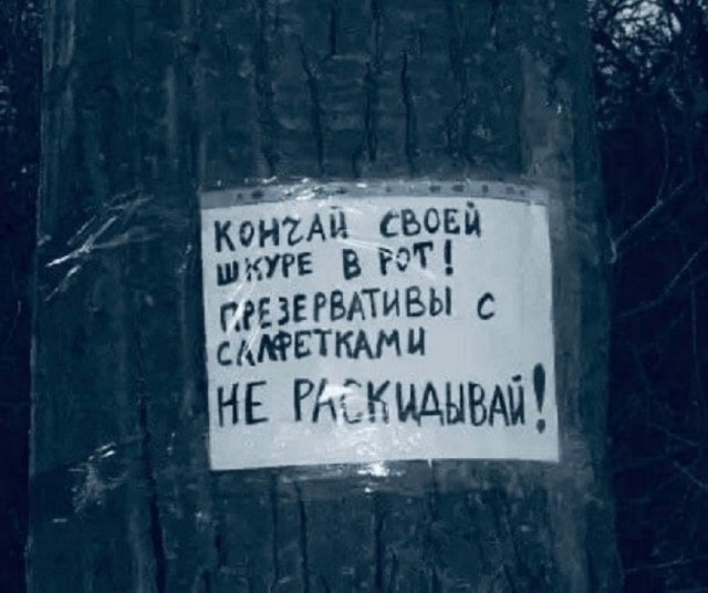 Так себе картинки 20.05.25