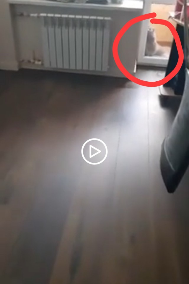 Бытовуха