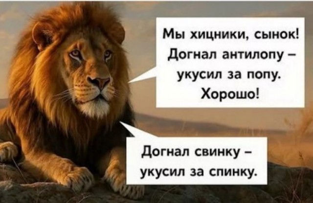 Картинки для деградации 15 (разной степени свежести)