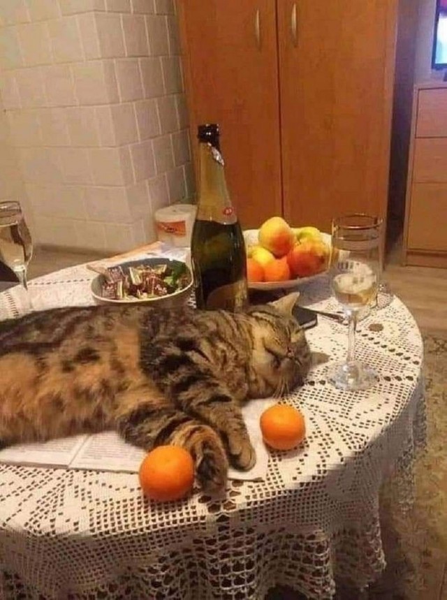Всякая бредятина