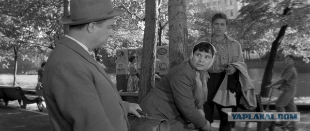 Тихий субботний день. Ничего не предвещало и тут случилась дичь