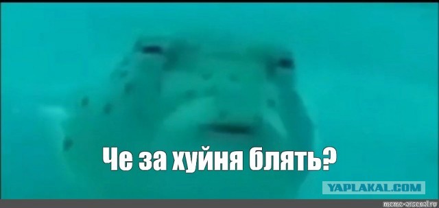 Зона комфорта