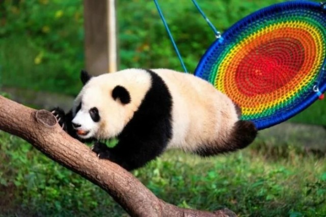 Прикольные и просто красивые картинки 18.11.2025