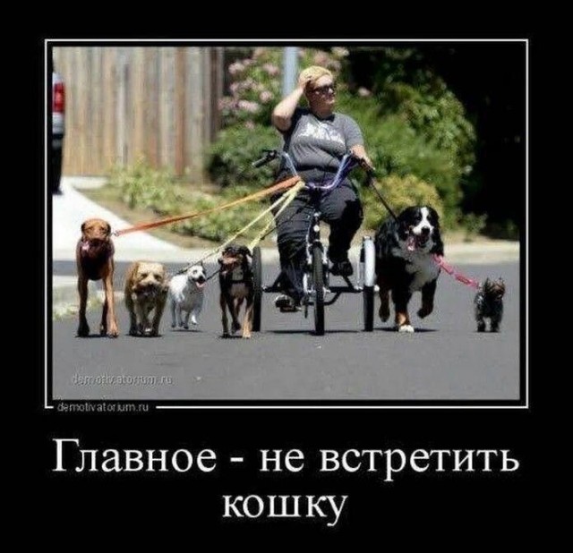 Вечер воскресенья