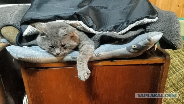 Вторник 13.