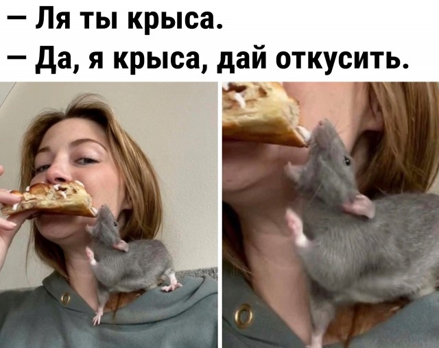 Так себе картинки 08.02.26