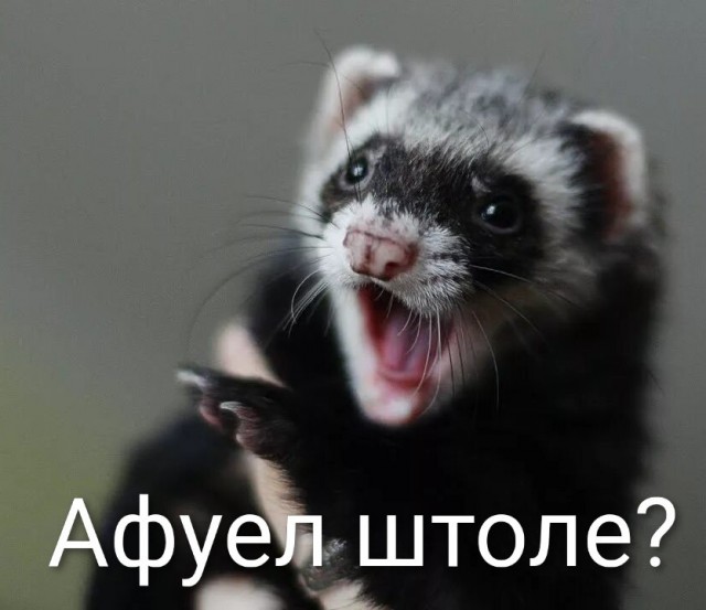 Случай