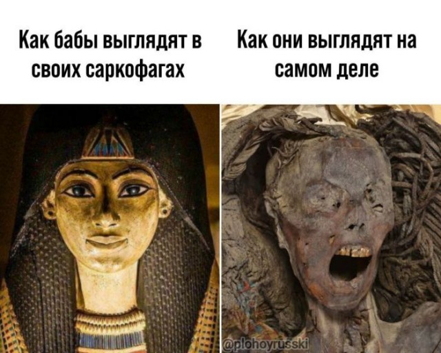 Картинки для деградации 162 (разной степени свежести)
