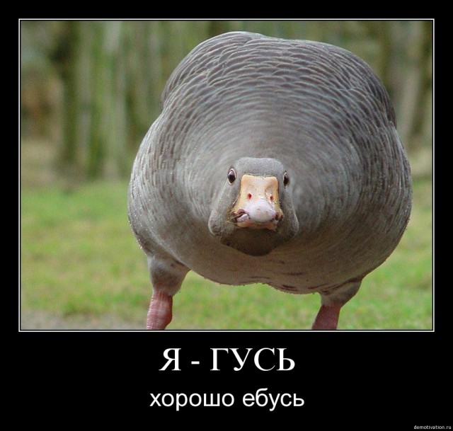 Лучший друг