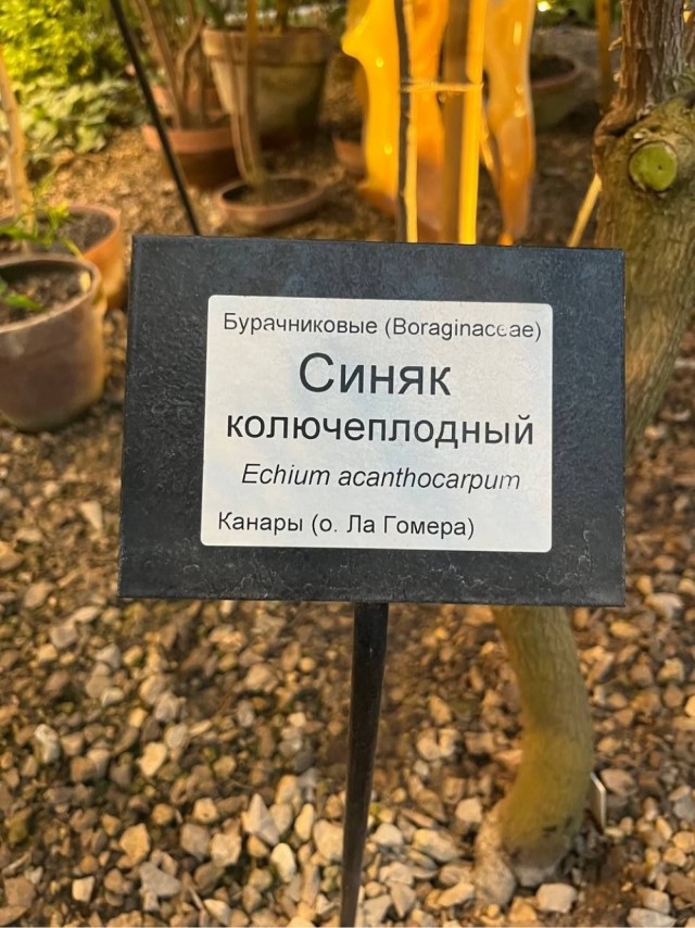 Кто ты сегодня?