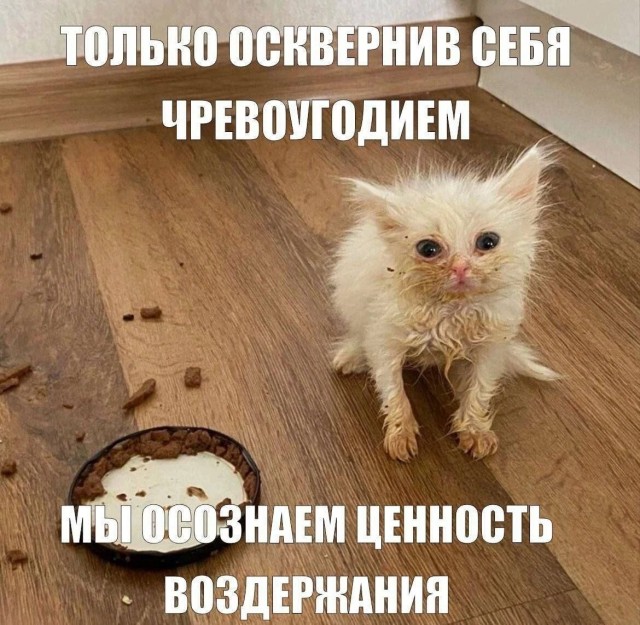 Картинки для деградации 176 (разной степени свежести)