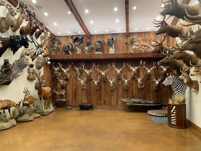 Не ходите дяди в Африку убивать