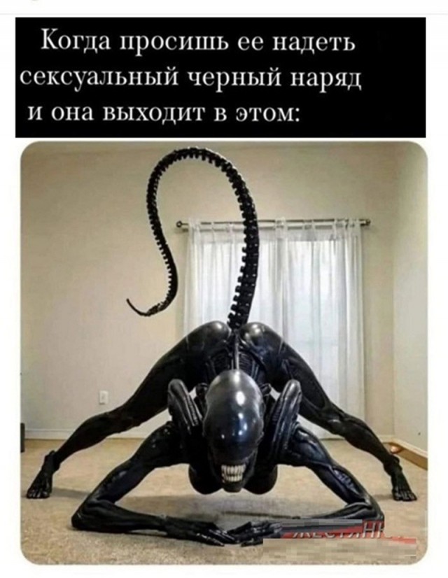 Забавные и не очень скромные картинки - 31