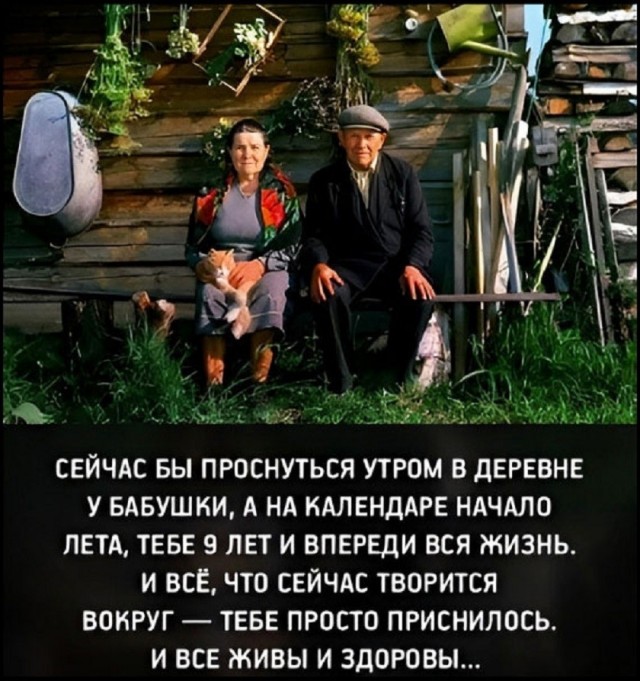 Так себе картинки 21.06.26