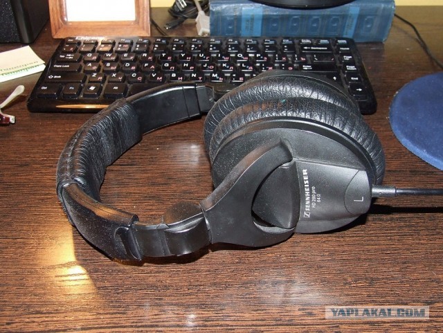 Sennheiser