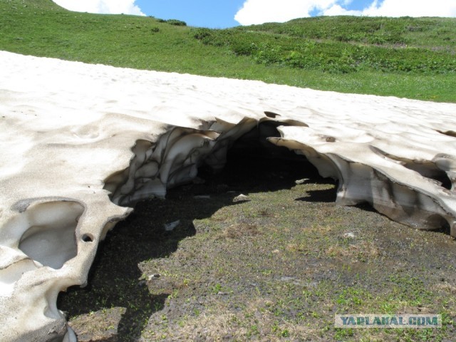 В горах. Абхазия.