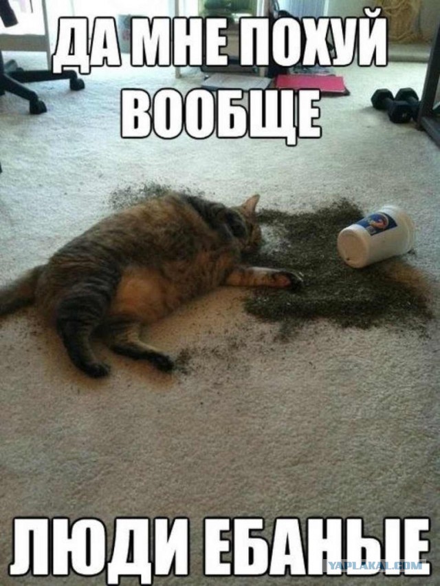 И кто это сделал?