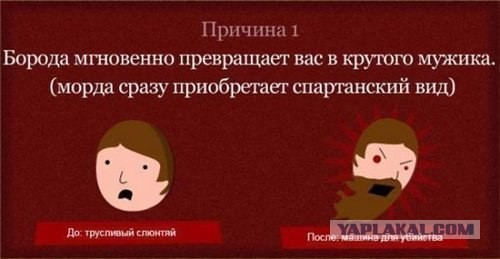 Борода - обогревающий и волшебный мир