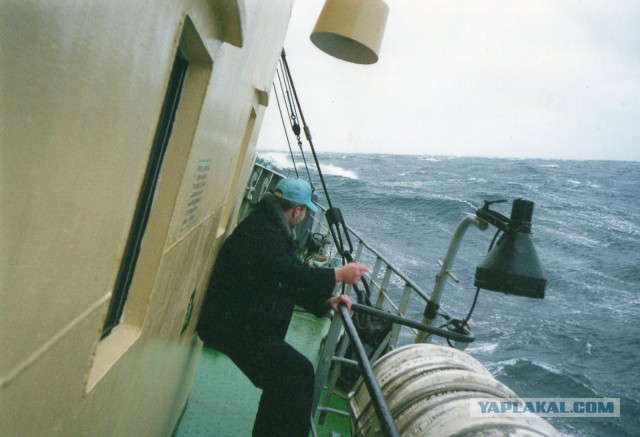 Спасение экипажа тх 'Рязань ' в Беринговом море