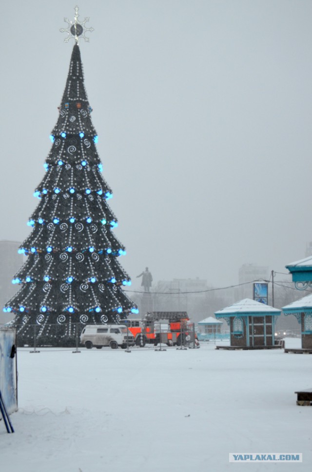 Ёлка в Харькове