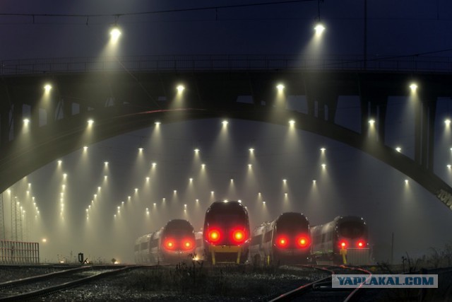 30 самых удачных фотографий января