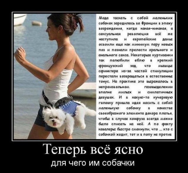 "Вот что я увидел, когда.."