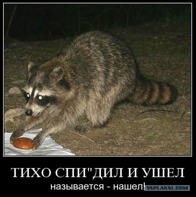 Демотиваторы.