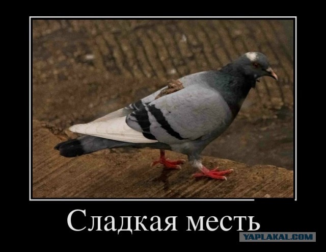 Демотиваторов пост, добавляйте свои