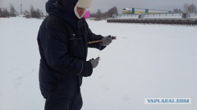 Зимняя рыбалка на жерлицы