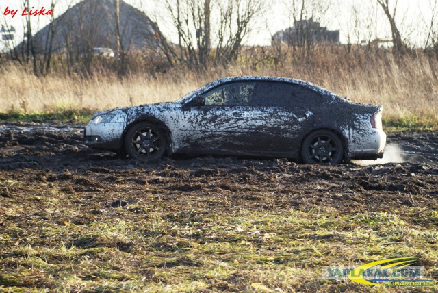 Subaru Outback 2015 против Российского бездорожья!
