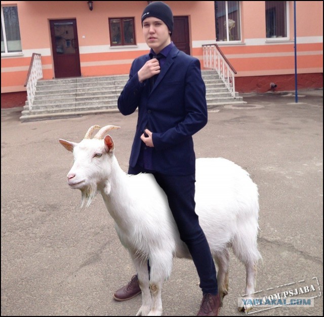Отфотошопьте мое фото...