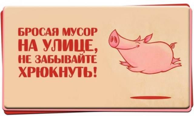 Как выбрасывают мусор в Индии