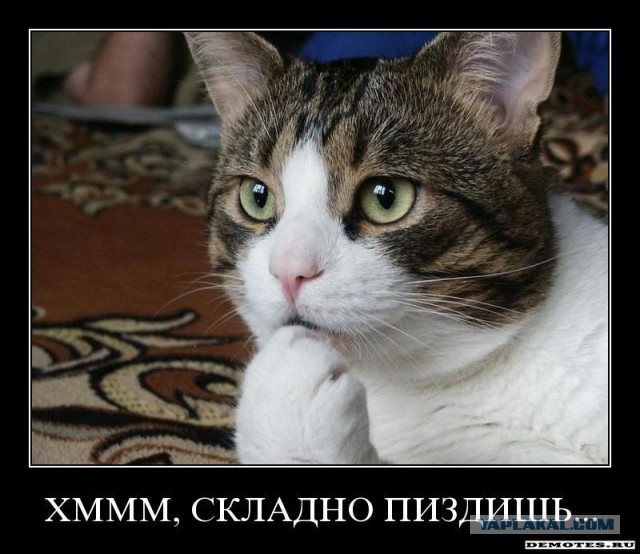 Я хочу! А ты козёл!