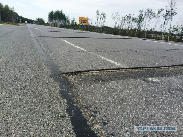 В Москве появятся приподнятые пешеходные переходы