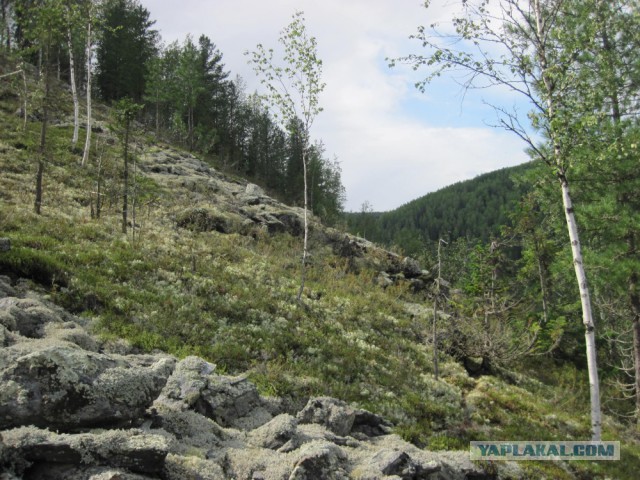 Сибирь 2015