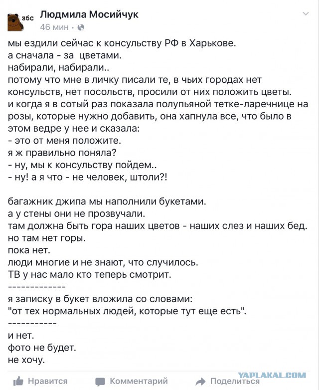 В Египте разбился российский пассажирский самолет, Airbus-321 "Когалымавиа"