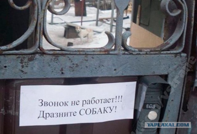 Картинки разные с интернету