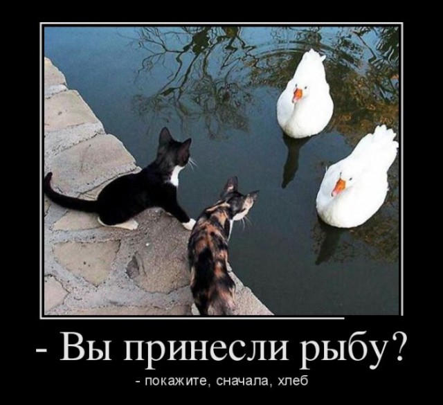 Немного позитива