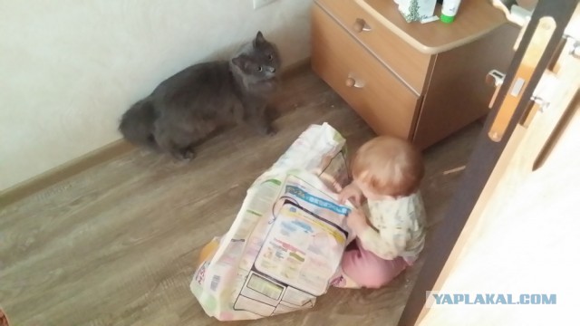 Meine Reparatur/ Мой Ремонт!