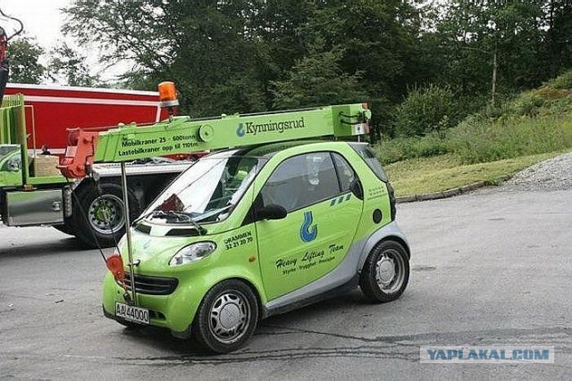 Интересные и веселые картинки